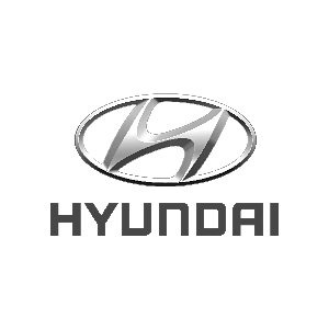hyundaiC461BE9F-24EC-8885-5290-88A007C18279.png good