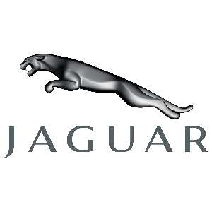 jaguar81B017DD-144F-AE59-1B7C-0A8CB083F754.png good